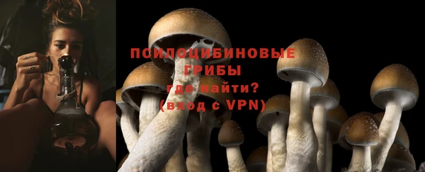 apvp Аркадак