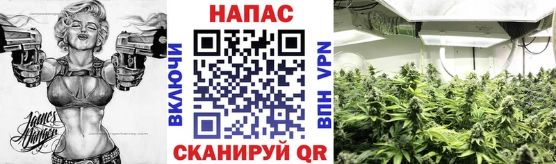 Конопля гибрид  blacksprut ссылка  Суровикино 